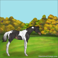 Horse Color:Liver Chestnut Tobiano 