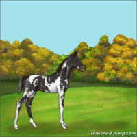 Horse Color:White Spotted Liver Chestnut Tobiano 