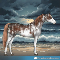 Horse Color:White Spotted Liver Chestnut 