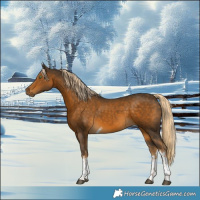 Horse Color:White Spotted Chocolate Palomino Tobiano 