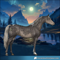 Horse Color:Silver Smoky Black Tobiano 