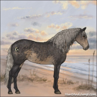 Horse Color:Silver Smoky Black 