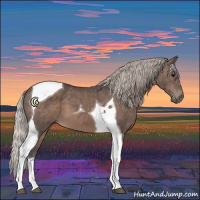Horse Color:Silver Black Tobiano