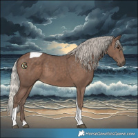 Horse Color:Silver Black Tobiano 