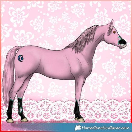 Horse Color:Watercolor Black 