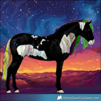 Horse Color:Painted Liver Chestnut Ice Splash Tobiano 