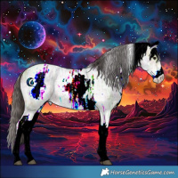 Horse Color:White Spotted Buckskin Ice 