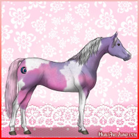 Horse Color:Watercolor Chestnut Tobiano 