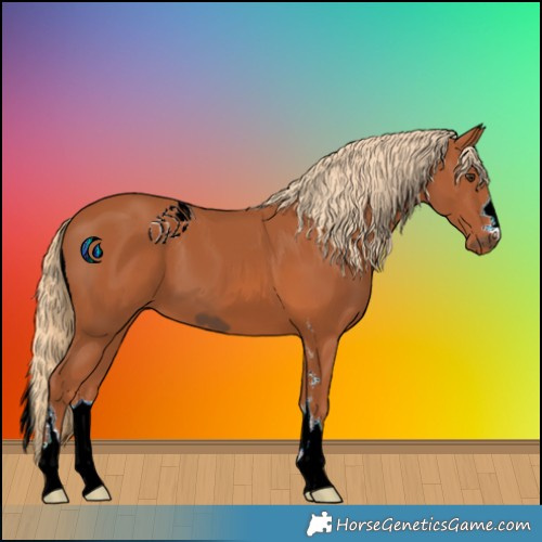 Horse Color:ERROR: UNKNOWN ANOMALY