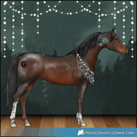 Horse Color:Liver Chestnut Tobiano 