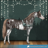 Horse Color:White Spotted Liver Chestnut Varnish Rabicano 