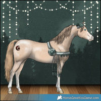 Horse Color:White Spotted Perlino Tobiano Rabicano