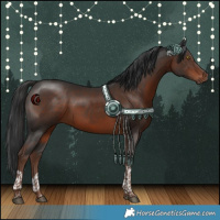 Horse Color:Liver Chestnut Tobiano Rabicano 