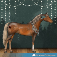 Horse Color:Chocolate Palomino Tobiano 