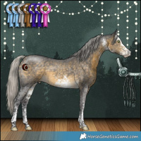 Horse Color:White Spotted Silver Buckskin Rabicano