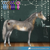 Horse Color:White Spotted Silver Buckskin Rabicano