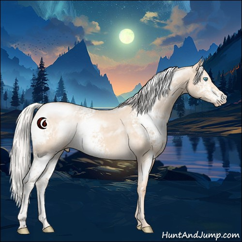 Horse Color:White Spotted Silver Perlino Dun 