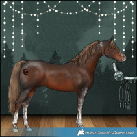Horse Color:White Spotted Liver Chestnut Tobiano Rabicano 