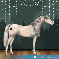 Horse Color:White Spotted Cremello Tobiano 