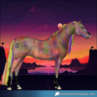 Horse Color:Painted Nacre Silver Black Rabicano