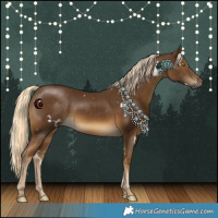 Horse Color:White Spotted Chocolate Palomino 