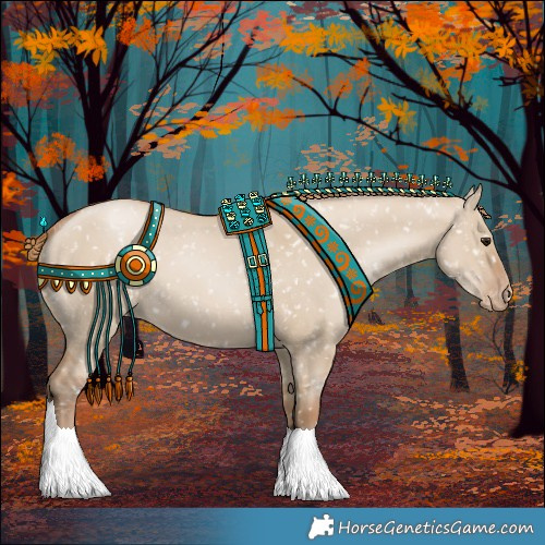 Horse Color:Grullo Pearl Appaloosa 