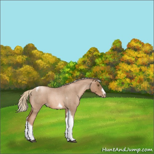 Horse Color:Liver Red Roan Pearl Tobiano Frame 