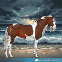 Horse Color:Silver Bay Splash Tobiano 