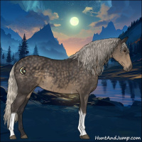 Horse Color:Silver Smoky Black Tobiano 