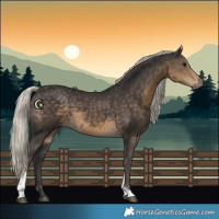 Horse Color:Silver Smoky Black Tobiano 