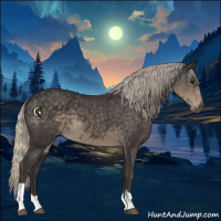 Horse Color:Silver Smoky Black Tobiano 