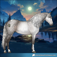 Horse Color:Gray Silver Black Tobiano