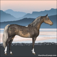 Horse Color:Silver Smoky Black Tobiano 