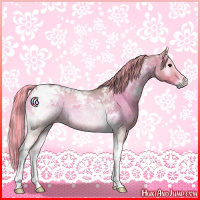 Horse Color:Painted Watercolor Silver Blue Onyx Roan Tobiano Rabicano 