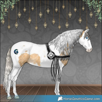 Horse Color:Silver Buckskin Ice Splash Tobiano Rabicano 