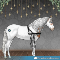 Horse Color:Silver Bay Splash Tobiano Frame Rabicano