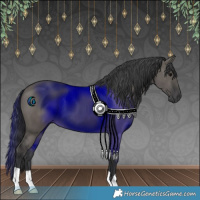 Horse Color:Grullo 