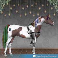Horse Color:Painted Bay Tobiano 
