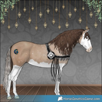 Horse Color:Classic Champagne Splash 