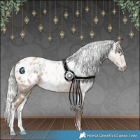 Horse Color:Gray White Spotted Silver Classic Champagne Appaloosa 