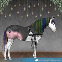 Horse Color:Painted Black Splash 