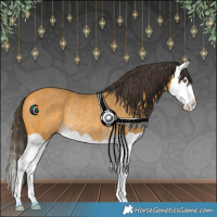 Horse Color:Buckskin Splash Rabicano 