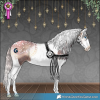 Horse Color:Silver Brown Onyx Splash Tobiano Rabicano 