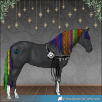 Horse Color:Painted Black 