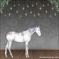 Horse Color:Watercolor White Spotted Black Splash 