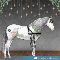 Horse Color:Nacre Classic Champagne Ice Splash Tobiano Rabicano 