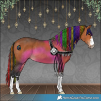 Horse Color:Painted Bay 