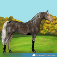 Horse Color:Void Silver Buckskin Ice Roan Tobiano 