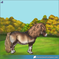 Horse Color:Liver Red Onyx 