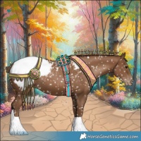 Horse Color:Gray Black Pearl Appaloosa